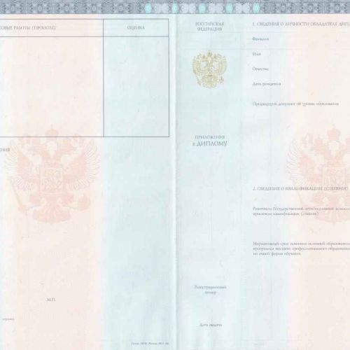 Диплом специалиста ВУЗ 2012-2013