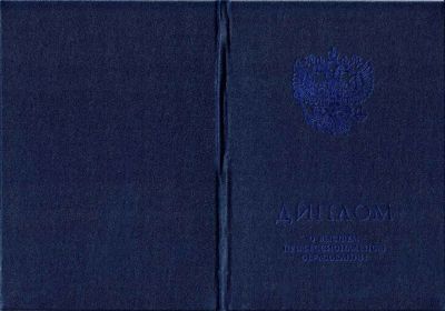 Диплом специалиста 2009-2010